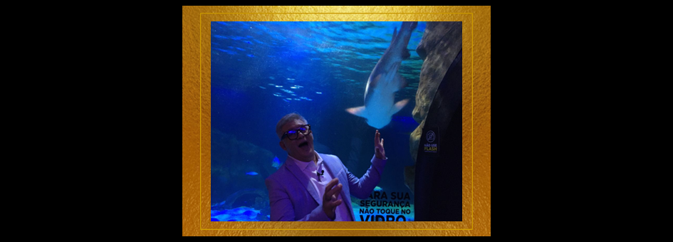 site bf foto perso 25x9cm tuba.png